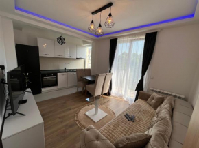 Lux apartment with a park view